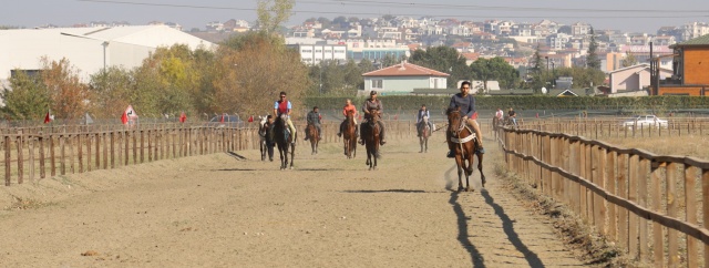 Bursa Büyükşehir Belediyesi’nin koordinasyonunda ‘Türkiye’nin farklı bölgelerinden 200’e yakın rahvan atı ve 150 sporcunun katılımıyla’ düzenlenen Rahvan Binicilik Türkiye Şampiyonası, çekişmeli yarışlara sahne oldu.