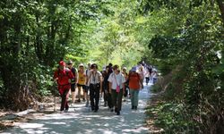 Bursa'da Mysia Yolları'nda trekking tutkunları doğanın keyfini çıkardı