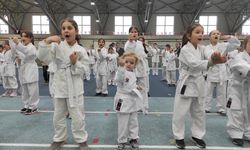 Osmangazi’de karate eğitim semineri