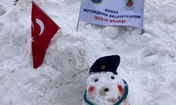 Yavrukurtlar Uludağ Oteller Bölgesi’nde