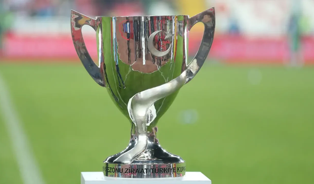 Bursaspor'un Türkiye Kupası tarihi...